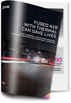 Icona white paper per "AEB combinato con la termografia può salvare vite"